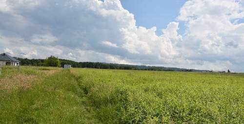 Działka inwestycyjna 81.7a w Krasne