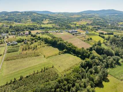 Działka rolno-leśna, 1,56 ha, Sadek, Jodłownik