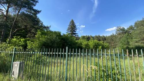 Pruszewiec, koło Tuczna - bajeczna działka w lesie