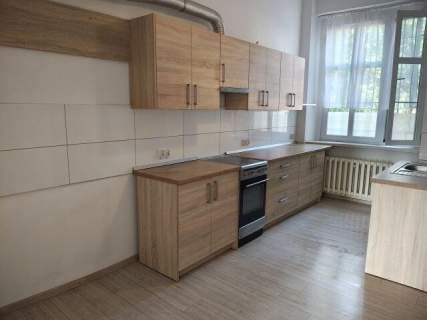 Mieszkanie 53 m2 - parter, centrum miasta, ogródek i miejsce...