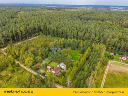 Dom w środku lasu - 9512 m2 - Walne, Wigry