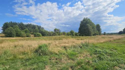 Działka,Luta, Włodawa, 1,5 ha, budowlana, urokliwa