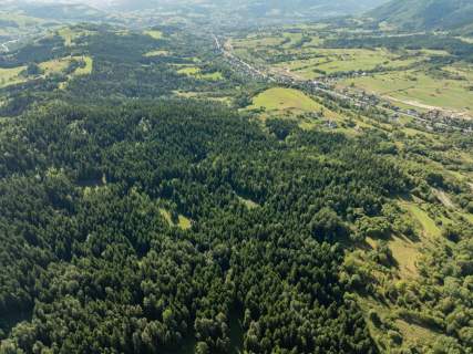 Działka leśna 20 700 m Kasina Wielka