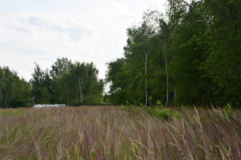 Działki 2 x 11a pod zabudowę - Rudna Mała