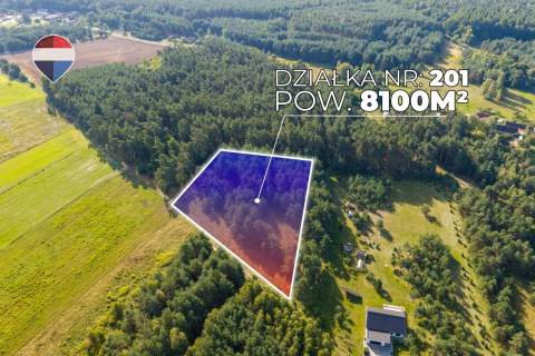 Działka leśna pow. 29.600 m , Bukowina Sycowska