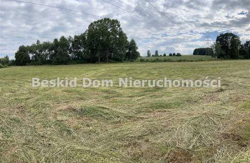 Działka inwestycyjna na sprzedaż, 12600 m2, Międzyrzecze Dolne