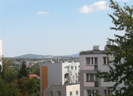 Kawalerka w Kielcach