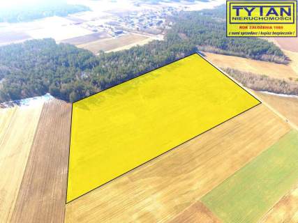 10,74 ha w jednym kawałku, dobry dojazd