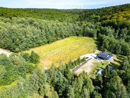 Widokowa działka 1,09 ha pod lasem   Nawsie, cisza