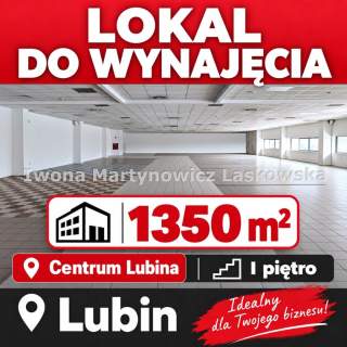 Lokal wielkopowierzchniowy, 1350 m2 Lubin