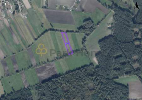Grunt rolny 1,9 ha - Srocko Małe