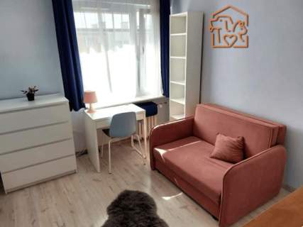 Studio, komórka, pet-friendly - Herberta 2