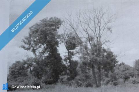Dwór Józefa Świderskiego 1926 r. Działka 8000m Usługi i Miesz