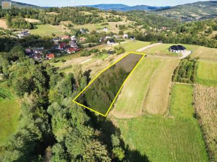 Działka z częścią budowlaną Tenczyn 3503 m2 gm. Lubień
