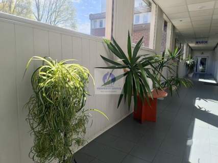 Mokotów lokal biurowy 20m2 do wynajęcia