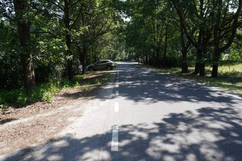 DZIAŁKA GRANICZĄCA Z PUSZCZĄ ZIELONKĄ