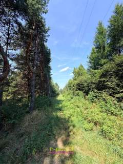 Piękna, duża działka w Biskupicach