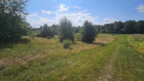 Działka,Luta, Włodawa, 1,5 ha, budowlana, urokliwa