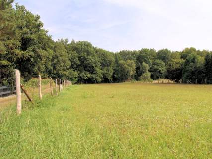Duża działka pod lasem 3643 m2