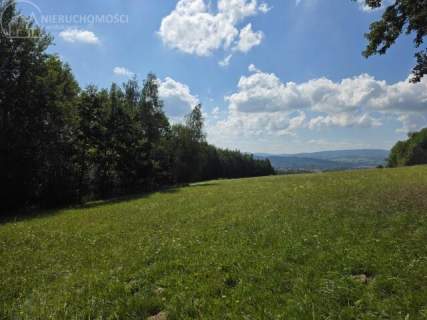 Działka rolna na sprzedaż, 5216 m2, Moszczenica