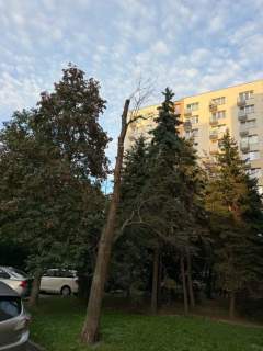Cicha kawalerka do wynajęcia/10min do Metra Wierzbno