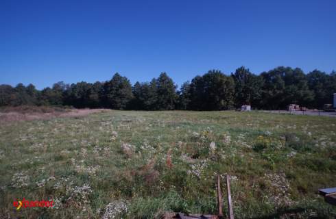 Hala magazynowo - produkcyjna, 1221m2, SSE Mielec, działka 0,5ha