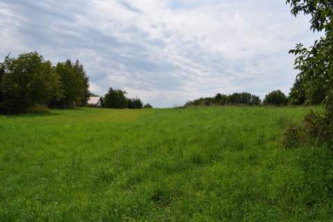 Działki budowlane 11.8a w Łańcucie