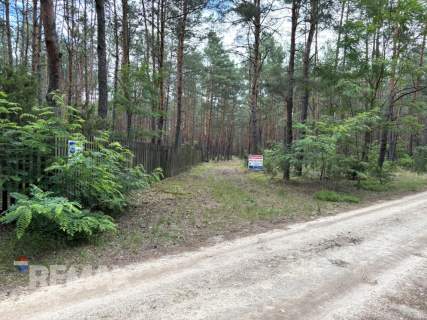Działka leśna w Ryni, gmina Dobre   6 379 m 