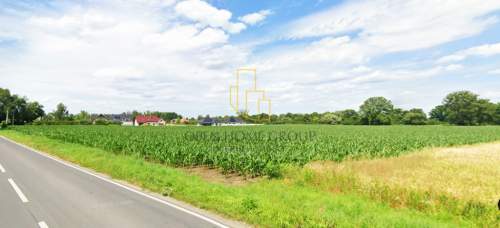 Szukalice, Żórawina, działka inwestycyjna 43,10 ha