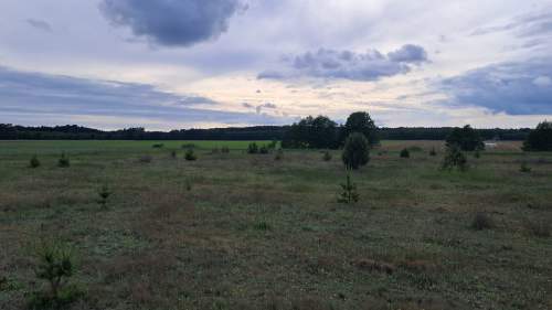 Działka dudowlana w Dolniku gmina Krajenka. 1074 m2. WZ.