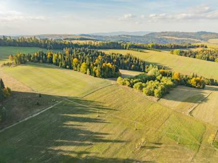 Działka budowlana - Łapsze Niżne - 2000m2