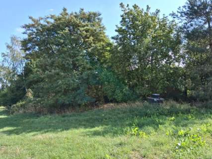 Gospodarstwo rolne z zabudowaniami do sprzedaży