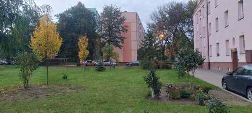 Mieszkanie na sprzedaż, 51 m2, Radom