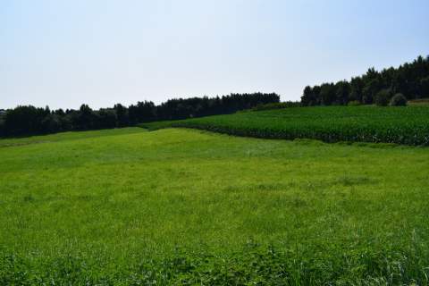 Działka rolno-budowlana 43a w Racławówce.