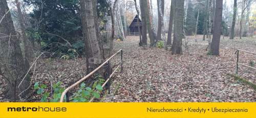 Duża działka w Lesie Lesznowolskim
