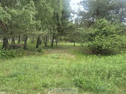 Działka 800m2 w Siennicy