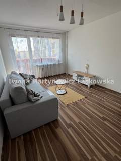 Mieszkanie do wynajęcia, 50,4 m2, Lubin
