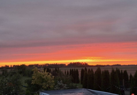 Dom z ogrodem, oczkiem wodnym, bez sąsiadów