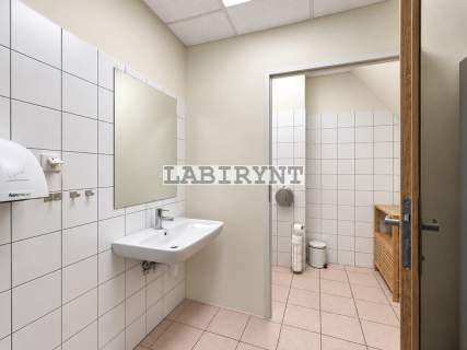 Lokal 240m2, Al. N.M.P. po remoncie, winda
