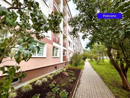 Lux 2 pok. po remoncie Wola/Śródmieście.