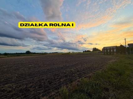 Działki rolne 2.63 ha Chełm Śląski NJ INVESTMENT