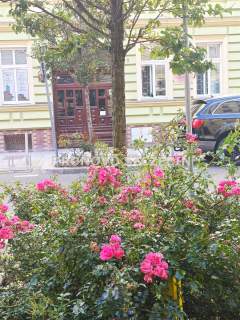 Szczecin, Centrum, ul. Małkowskiego, mieszkanie