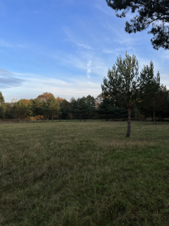 Zielona enklawa pod Wrocławiem, 1000 m, Prąd, MPZP