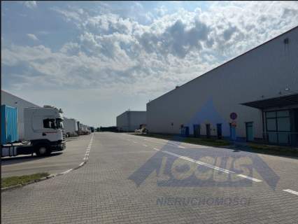 Biuro w Parku logistycznym Ożarów