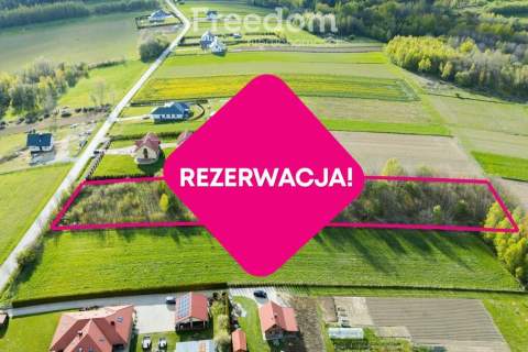 Działka z widokiem 71 ar Dylągówka