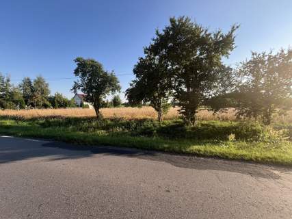 Dwie działki rolne z WZ w Helenowie gm. Policzna.