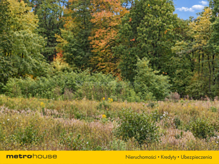 Działka na sprzedaż, 35756 m2, Korabiewice