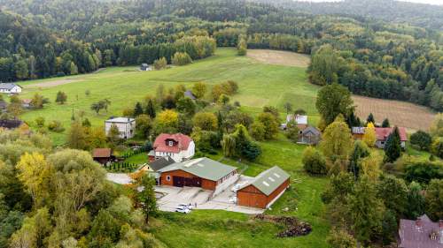 BURZYN - gospodarstwo, dom, ziemia, las 12,74 ha 