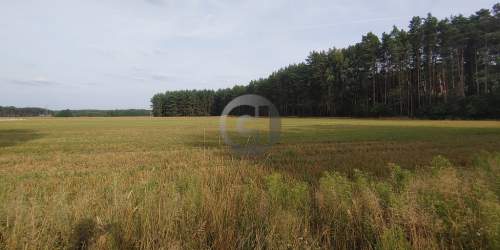 Działka pod budowę w Boleminie