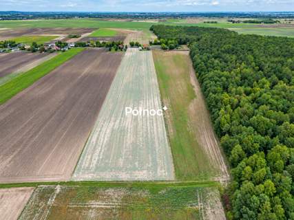 Duża działka 3,3 ha z częścią pod zabudowę   Depułtycze Królewsk